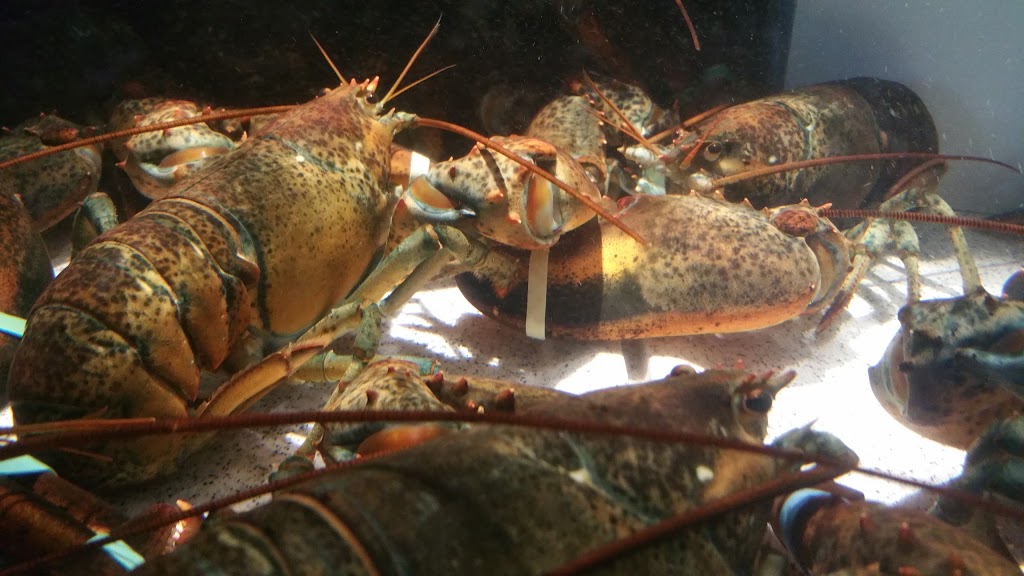 Red Lobster | 319 Bayfield St, Barrie, ON L4M 3C2, Canada | Phone: (705) 728-2401