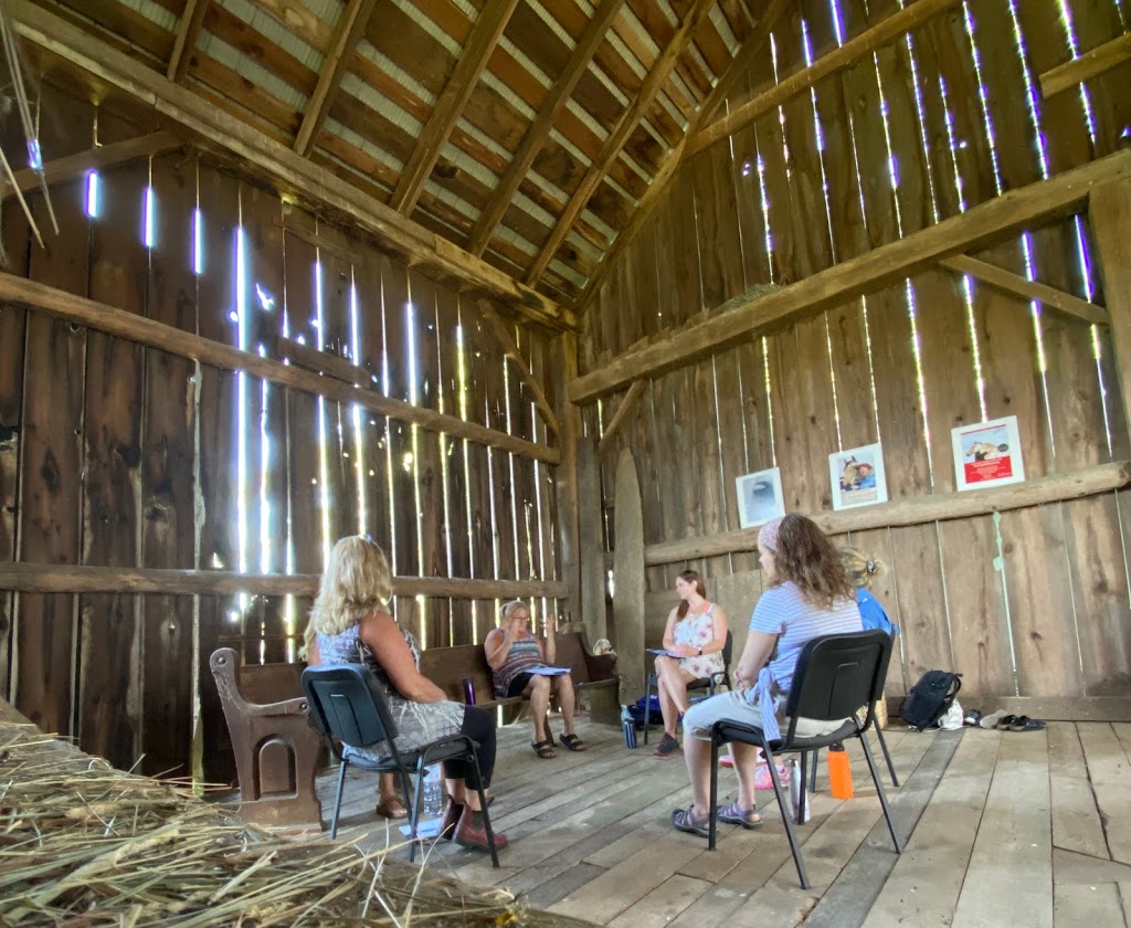 Horse Discovery | Carmel Line, Cavan-Monaghan, ON L0A 1G0, Canada | Phone: (705) 932-2244