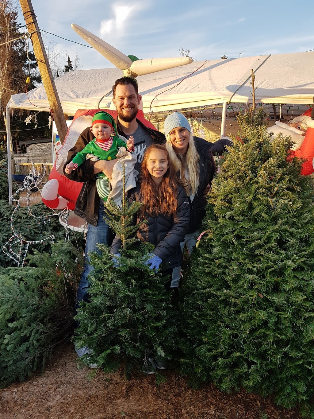 Chungs Christmas Tree Lot | shopping mall | 5749 Ladner Trunk Rd, Delta, BC V4K 1X5, Canada | 6047807840 OR +1 604-780-7840