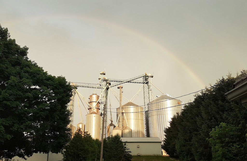 Woodrill Farms | 62160 Dufferin County Rd 3, Orton, ON L0N 1N0, Canada | Phone: (519) 928-1101