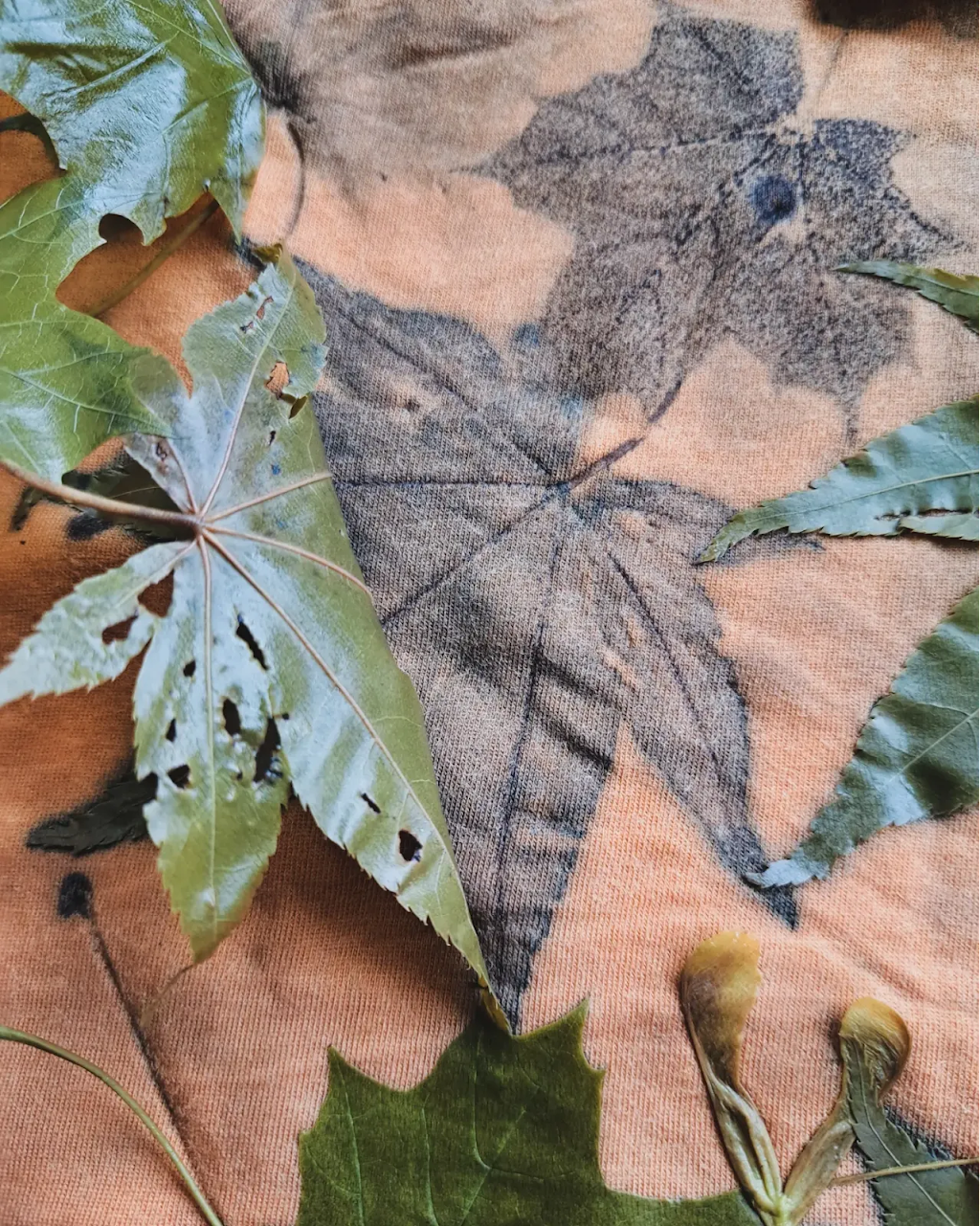Subtleties of Nature | 519 Bridgeview Ln, Port Howe, NS B0K 1K0, Canada | Phone: (902) 297-7857