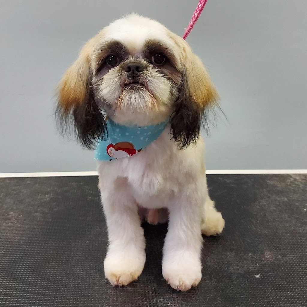 Pampered Paws | 244 Killaly St W, Port Colborne, ON L3K 6A6, Canada | Phone: (289) 690-5699