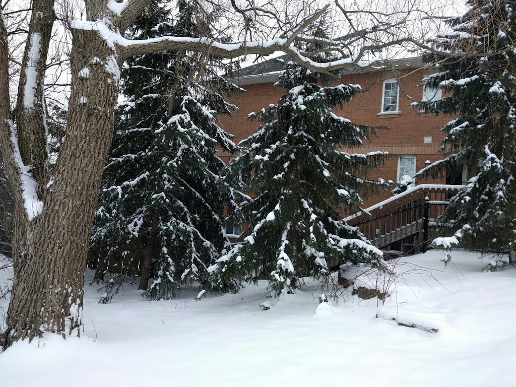 Melinda Clarke Parkette | 45 Royal Chapin Crescent, Richmond Hill, ON L4S 1Z7, Canada | Phone: (905) 771-8800