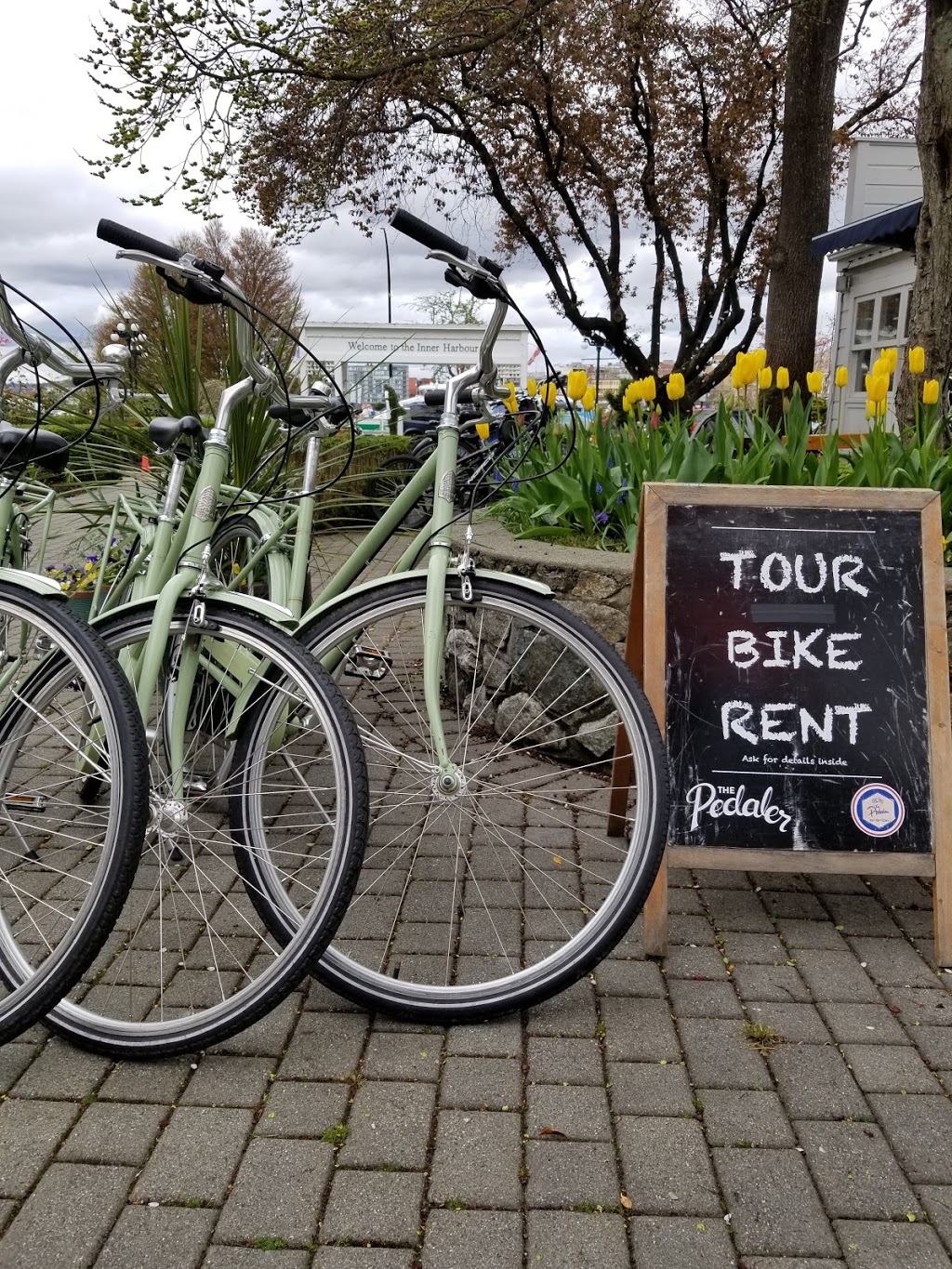 The Pedaler Cycling Tours | 321 Belleville St, Victoria, BC V8V 1W3, Canada | Phone: (778) 265-7433