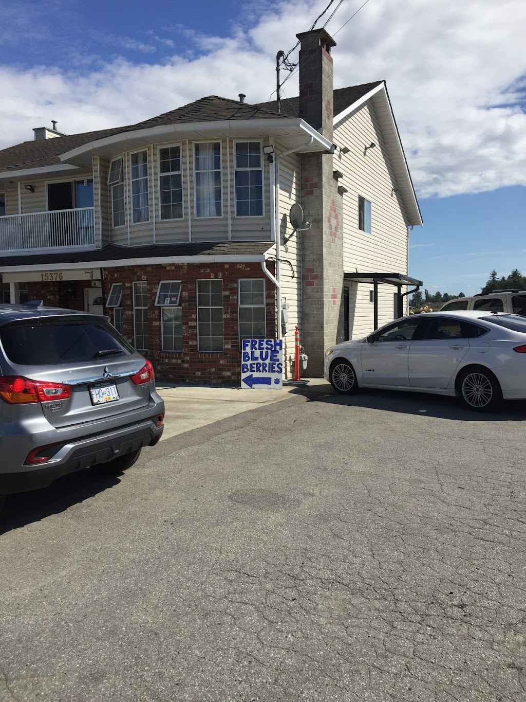 Blueberry Farm | 15211 72 Ave, Surrey, BC V3S 2G4, Canada | Phone: (778) 536-5951