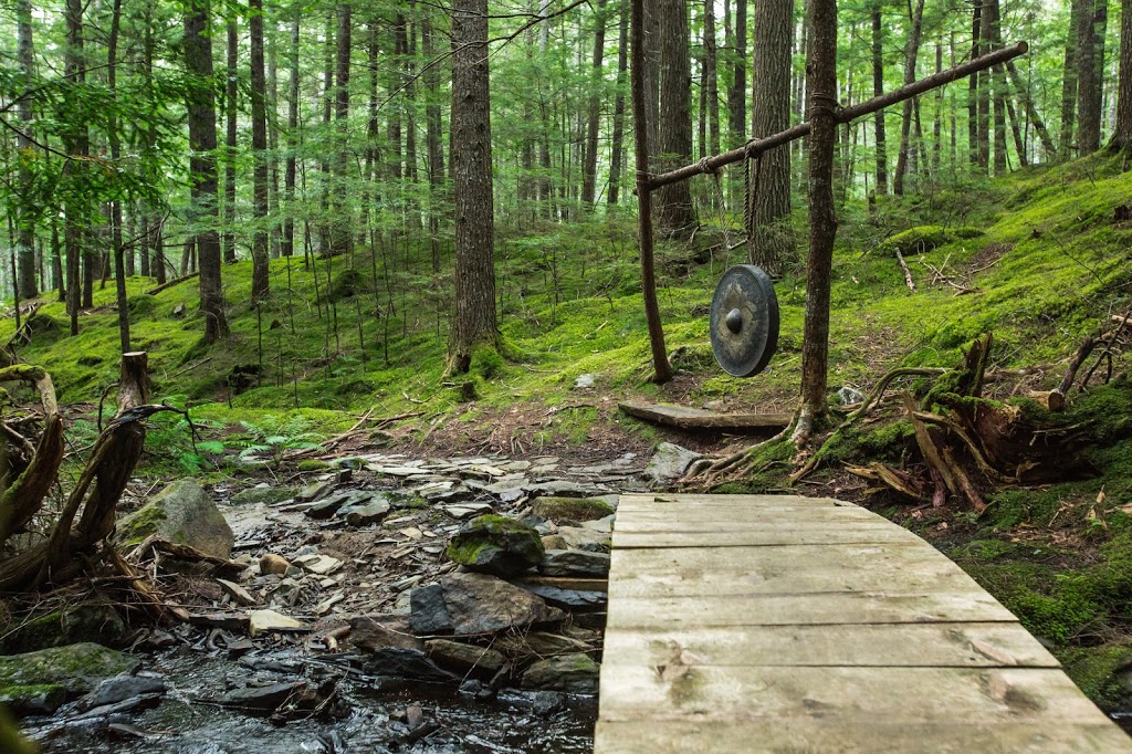 Windhorse Farm | 129 Sarty Rd, Wentzells Lake, NS B4V 4J6, Canada | Phone: (902) 543-6955