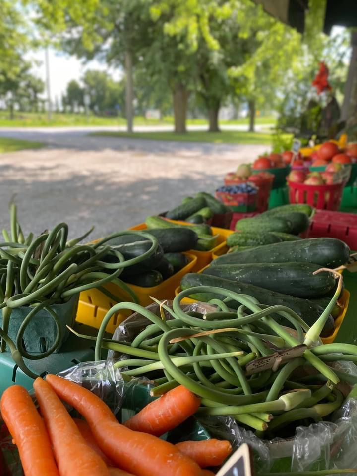Jardin maraîcher F.Hebert | 515 Rang du Haut Corbin, Saint-Damase, QC J0H 1J0, Canada | Phone: (450) 797-2187