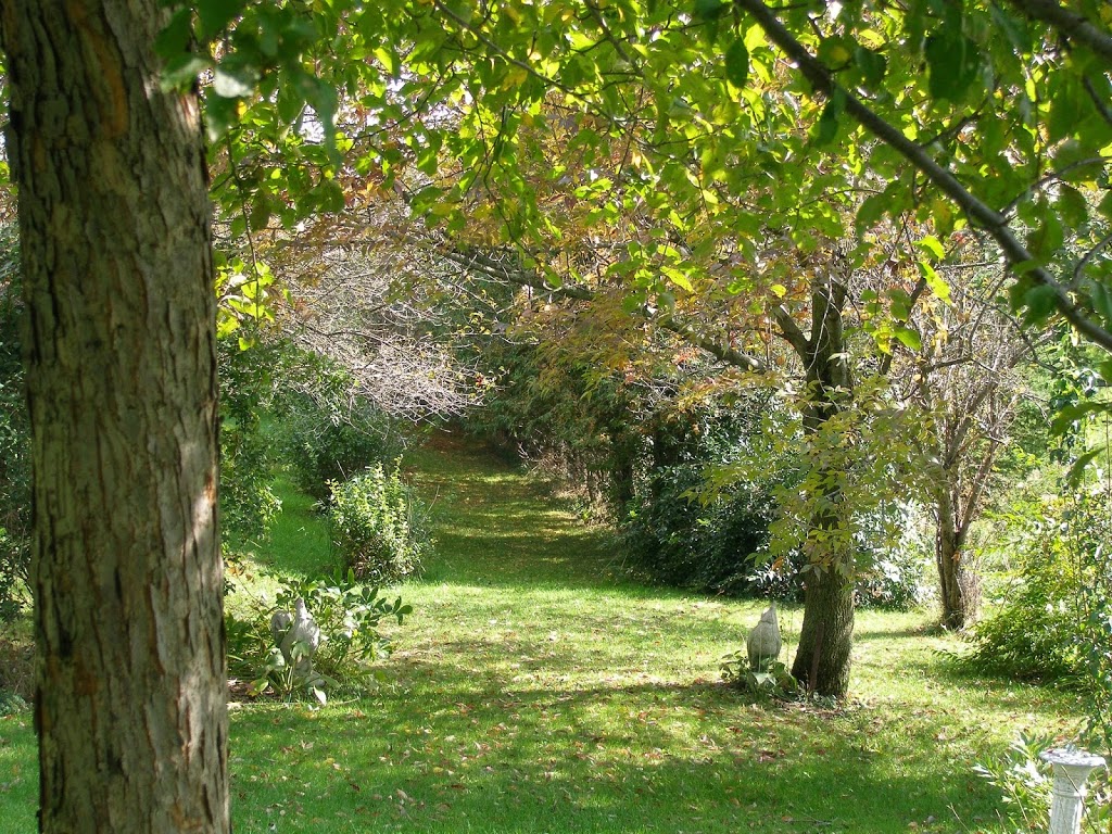 A Valley View Bed and Breakfast | 2 R.R., Granton, ON N0M 1V0, Canada | Phone: (519) 225-2685