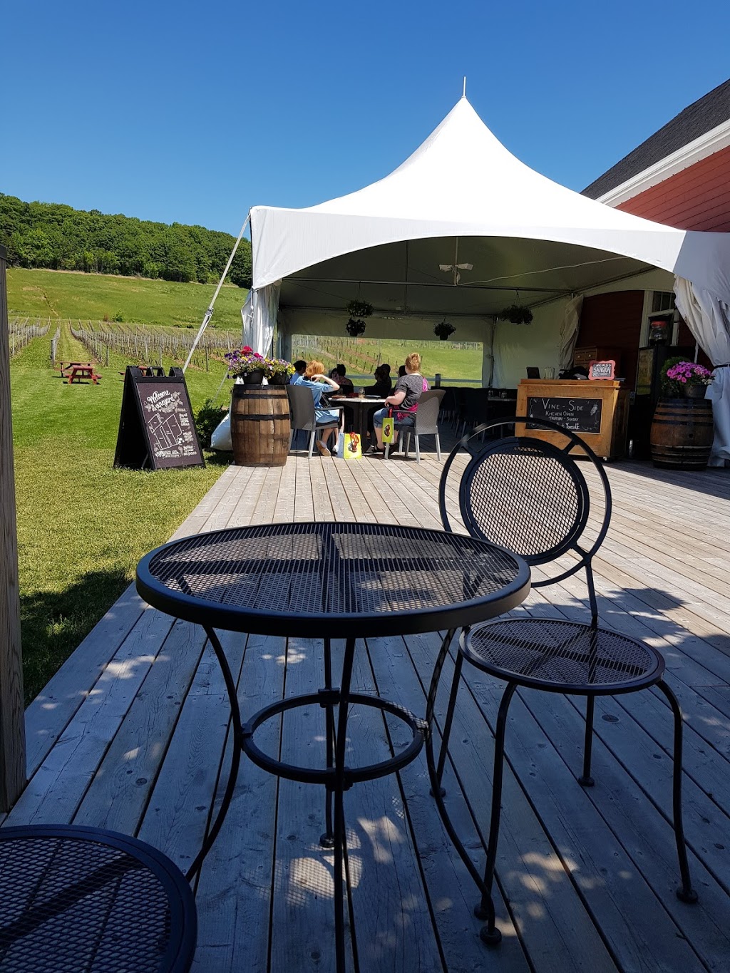 Magic Winery Bus Limited | 11 Willow Ave, Wolfville, NS B4P 1A1, Canada | Phone: (902) 670-0340