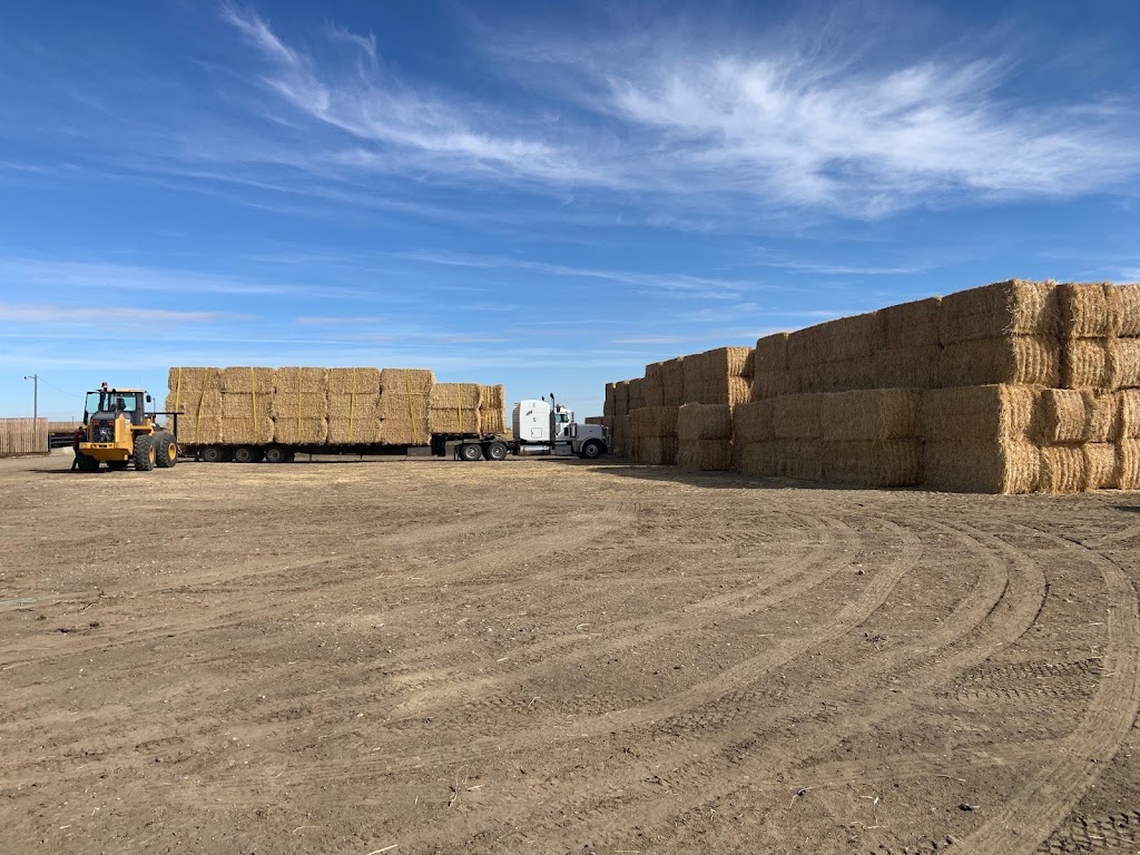 SunShine Custom Farming LTD. | 231079, Township Rd 104, Nobleford, AB T0L 1S0, Canada | Phone: (403) 715-4281