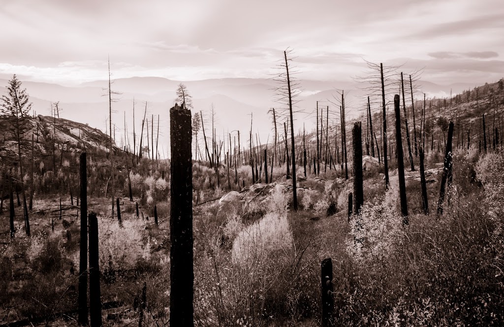 Okanagan Mountain Provincial Park | Lakeshore Rd, Okanagan-Similkameen E, BC V0H, Canada | Phone: (250) 548-0076