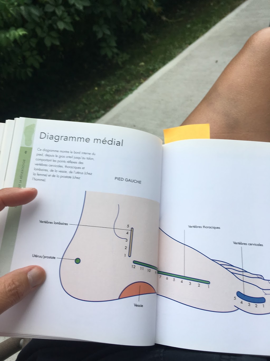 Centre Neuro-réflexologique trois-rivieres | 101 Rue Patry, Trois-Rivières, QC G8T 2M7, Canada | Phone: (819) 244-0625
