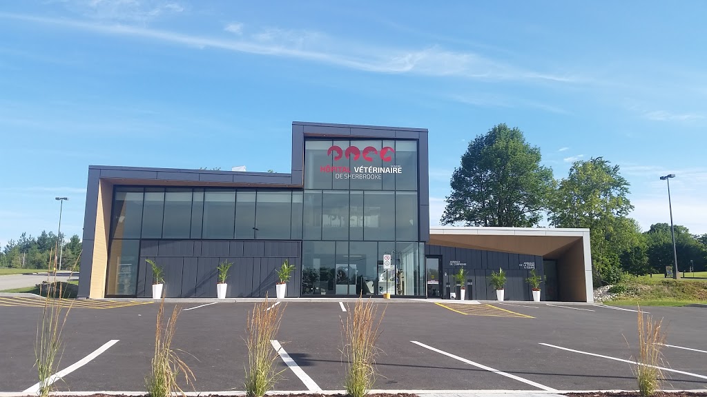 Hôpital Vétérinaire de Sherbrooke | 1771 Rue King E, Sherbrooke, QC J1G 5G7, Canada | Phone: (819) 563-1558