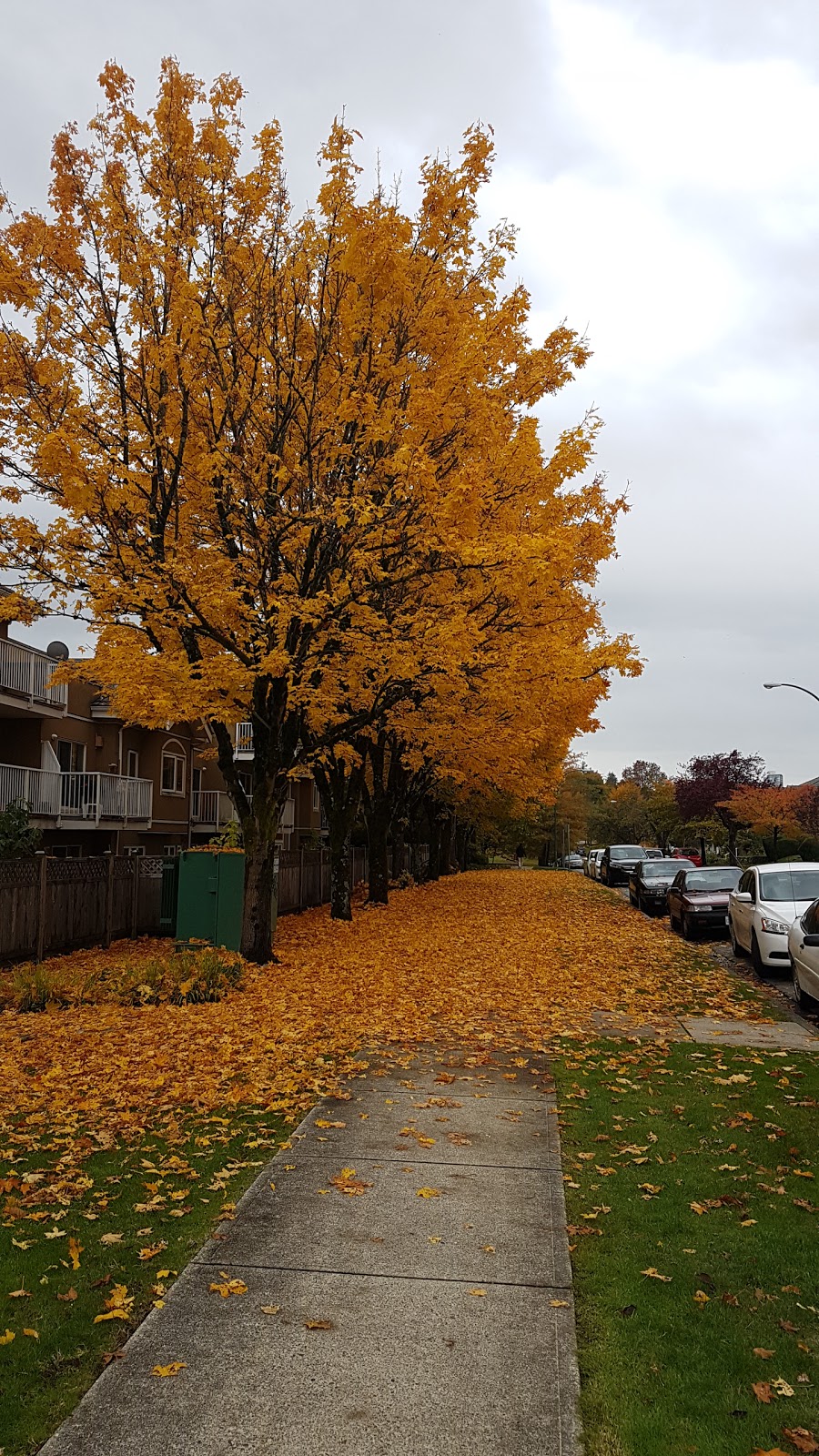 Beaconsfield Park | 3215 Slocan St, Vancouver, BC V5M 3E4, Canada | Phone: (604) 257-8158