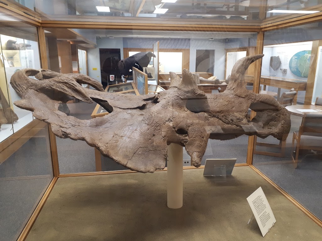Paleontology Museum | museum | Earth Sciences Building, Edmonton, AB T6G 2E3, Canada | 7804922518 OR +1 780-492-2518