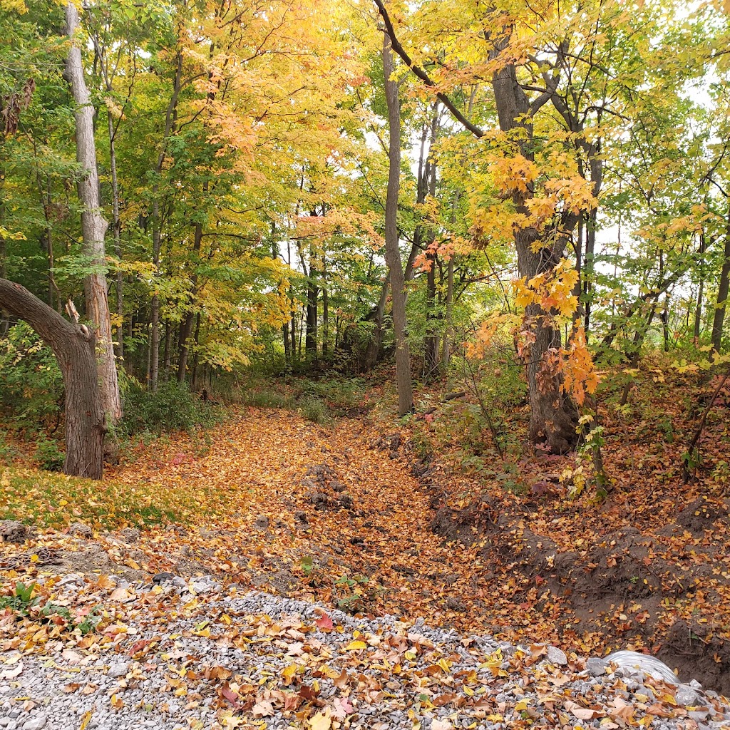 Big Creek Horse Stables - Horseback Riding | 386 Big Creek Rd, Caledonia, ON N3W 2G9, Canada | Phone: (905) 765-5476