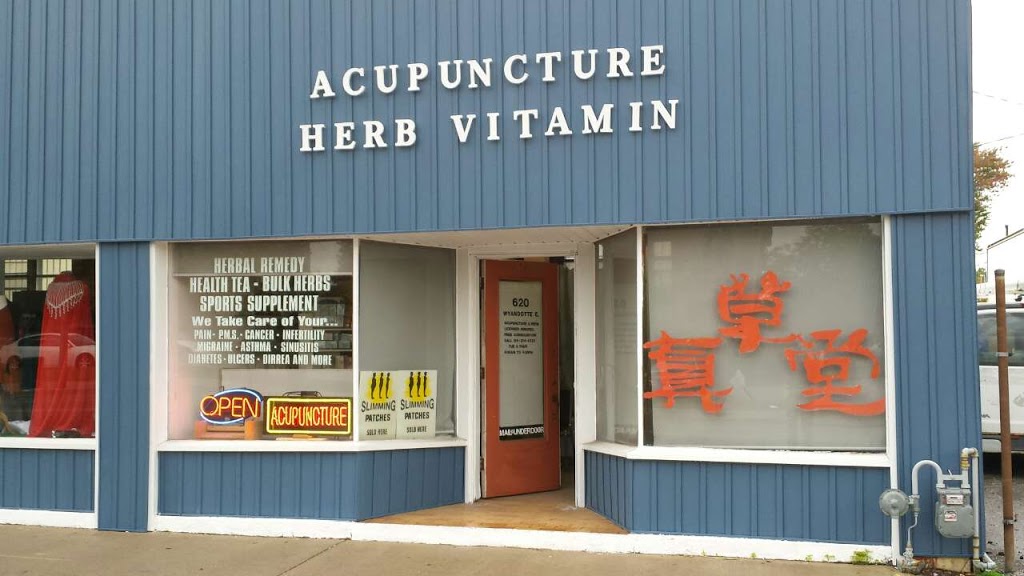 Acupuncturist and Herbalist Windsor | 620 Wyandotte St E, Windsor, ON N9A 3J2, Canada | Phone: (519) 254-4220