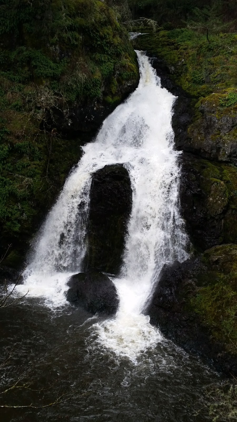 Wittys Lagoon Regional Park - Main Parking Lot | 4100 Metchosin Rd, Victoria, BC V9C 3Z6, Canada