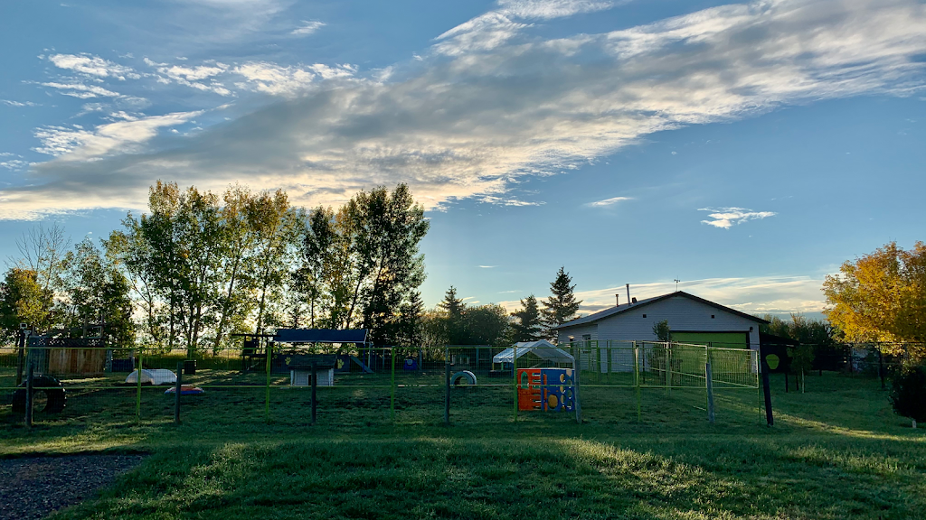 Paw Springs Pet Resort & Spa | 482104 304 St E, Alberta T0L 0J0, Canada | Phone: (403) 652-7800