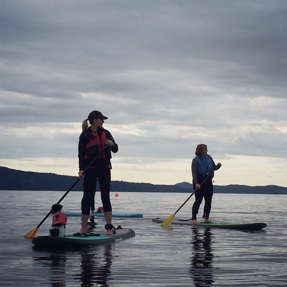 Blue Dog Kayaking | 9835 Seaport Pl, Sidney, BC V8L 4X3, Canada | Phone: (250) 710-7693