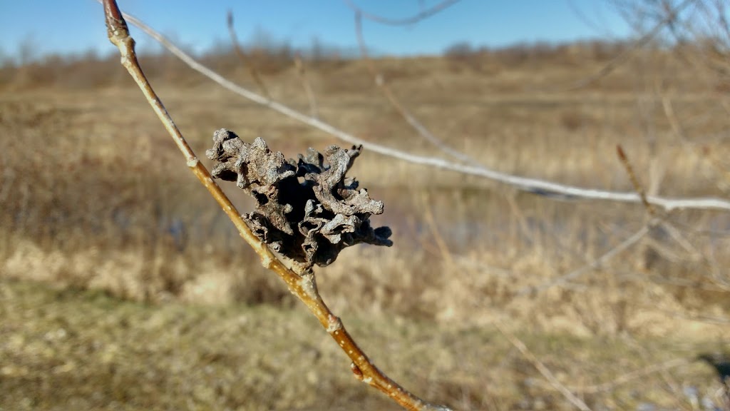 NATURE WAY, Suncor Energy Foundation | 1086 Modeland Rd, Sarnia, ON N7S, Canada, Canada