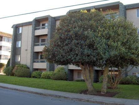 Niagara Court Apartments | 535 Niagara St, Victoria, BC V8V 1H3, Canada | Phone: (250) 360-2044