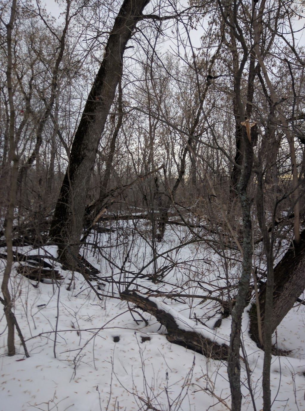 Pike Lake Nature Trail | Vanscoy No. 345, SK S0K 1K0, Canada | Phone: (306) 933-6966