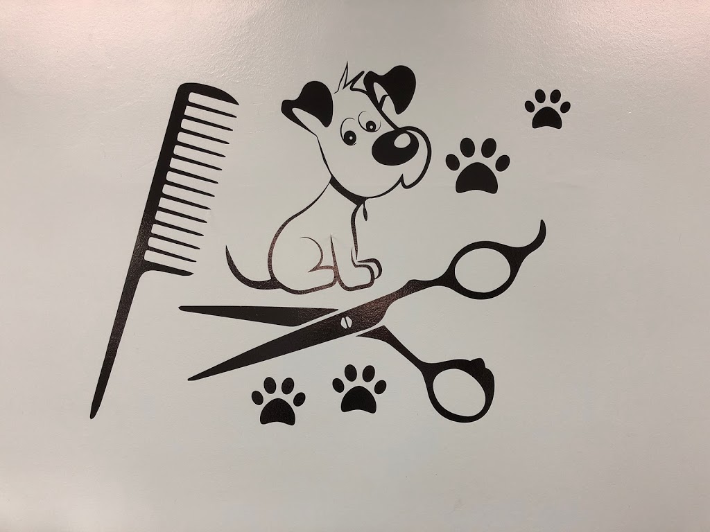 Scruffy To Fluffy | 14494 County Rd 2, Brighton, ON K0K 1H0, Canada | Phone: (613) 848-5595