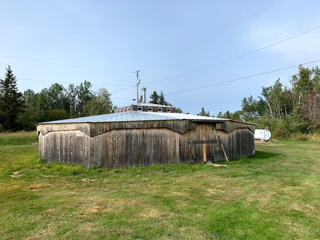 Bears in the Bush | Princess Harbour, MB R0C, Canada | Phone: (204) 276-2446