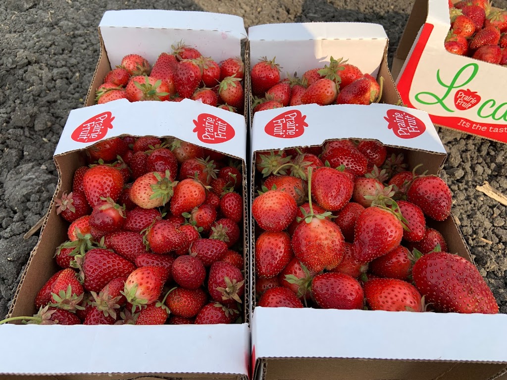 Berry Time Farm | 1011 Lockport Rd, Saint Andrews, MB R1A 3J2, Canada | Phone: (204) 881-3506