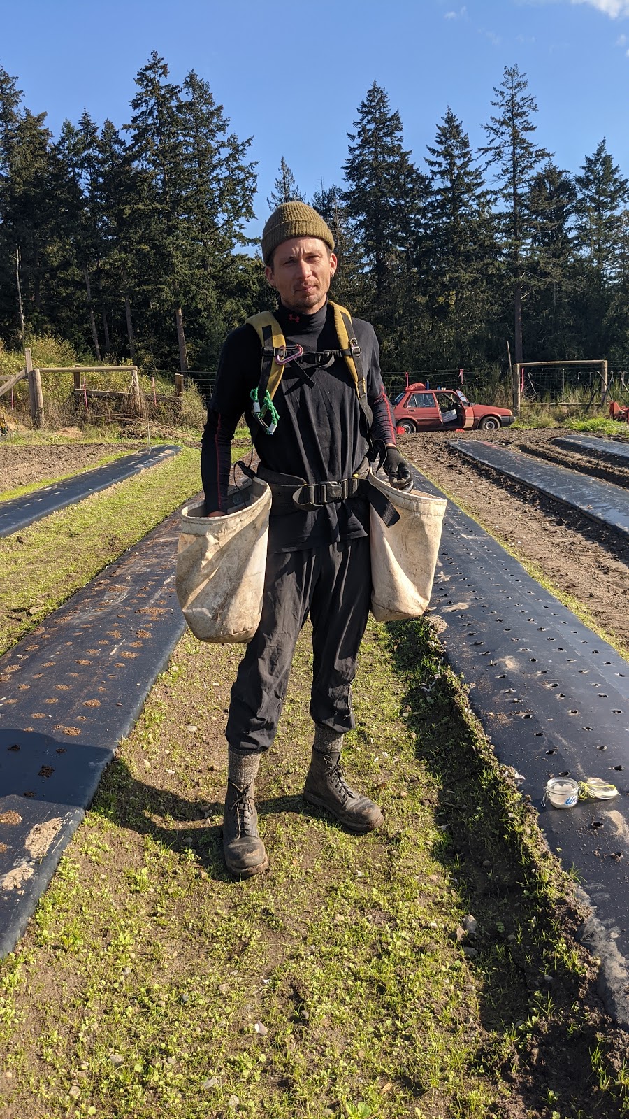 Galiano Sunshine Farm | 222 Vineyard Way, Galiano Island, BC V0N 1P0, Canada | Phone: (250) 539-2166