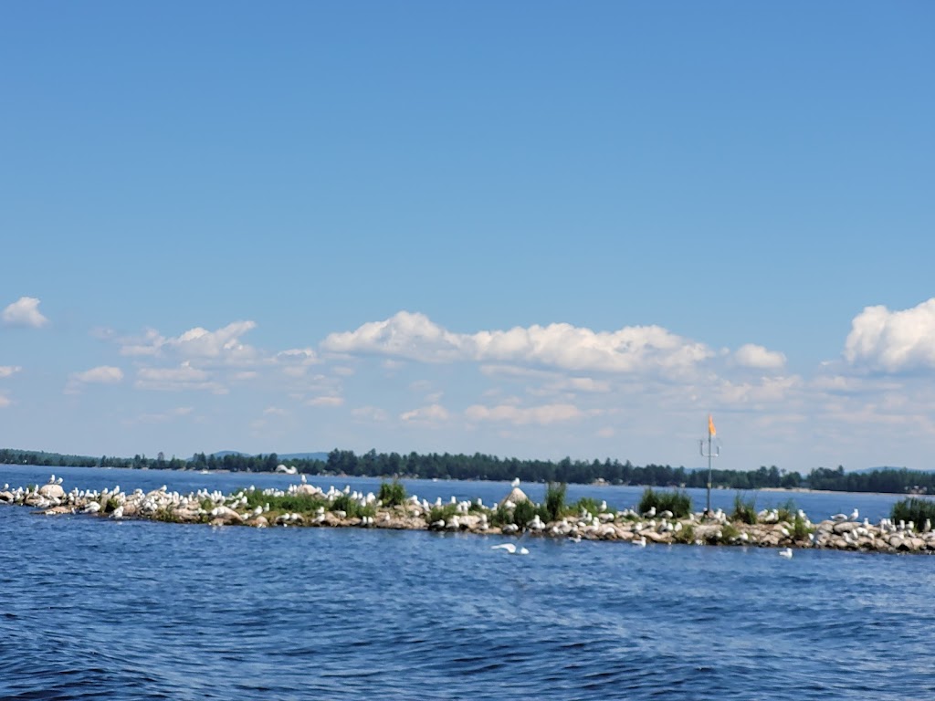La Pointe a David | 1777 Chem. Baskatong, La Vallée-de-la-Gatineau, QC J0W 1E0, Canada | Phone: (819) 438-2844