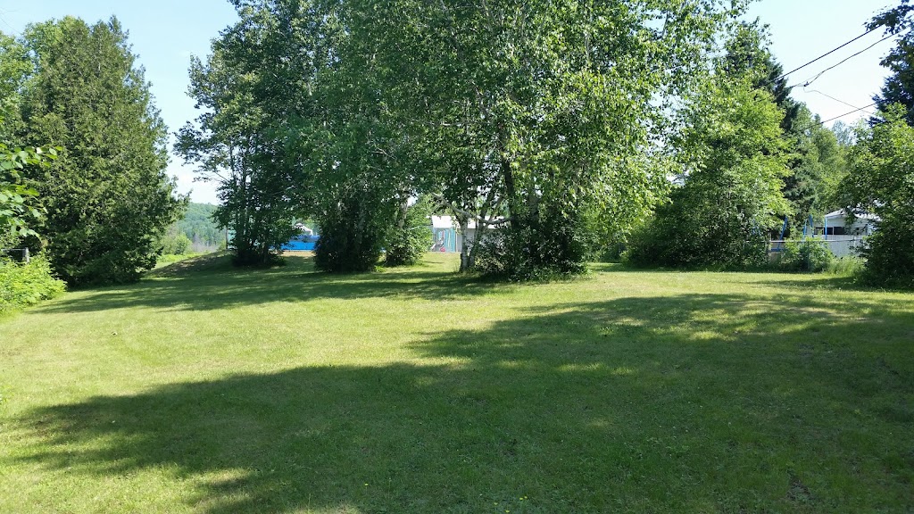 Cardiff Pool | 2 Balsam St, Cardiff, ON K0L 1M0, Canada | Phone: (613) 339-2442