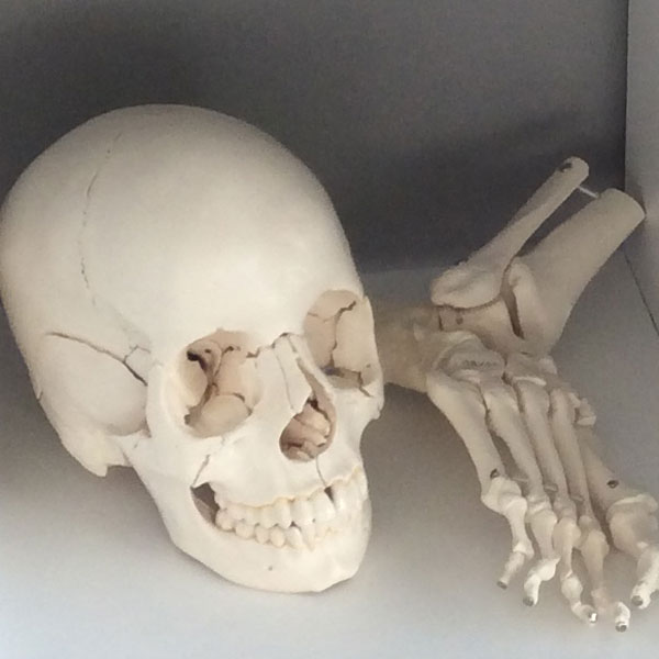 Harmony Osteopathy Oakville | 2404 Lionstone Dr, Oakville, ON L6M 4S9, Canada | Phone: (289) 795-6646