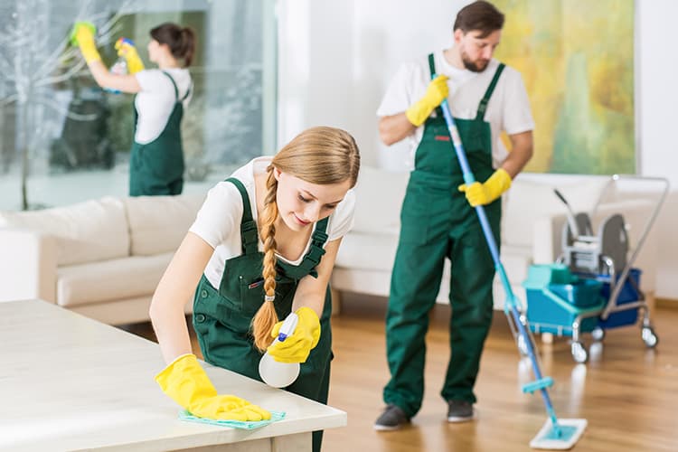 Winnipeg Trusted Cleaners Inc. | 23 Peter Sosiak Bay, Winnipeg, MB R2C 5M2, Canada | Phone: (204) 963-0502