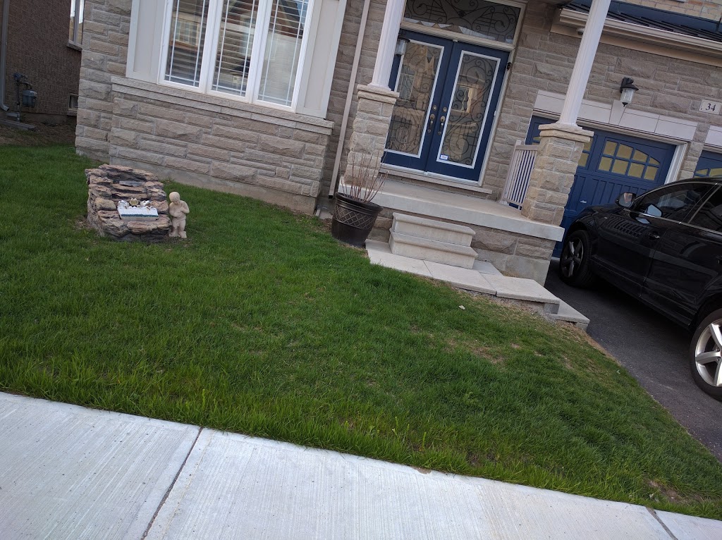 Art Latcham Park | 155 Darren Hill Trail, Markham, ON L6E 0M5, Canada