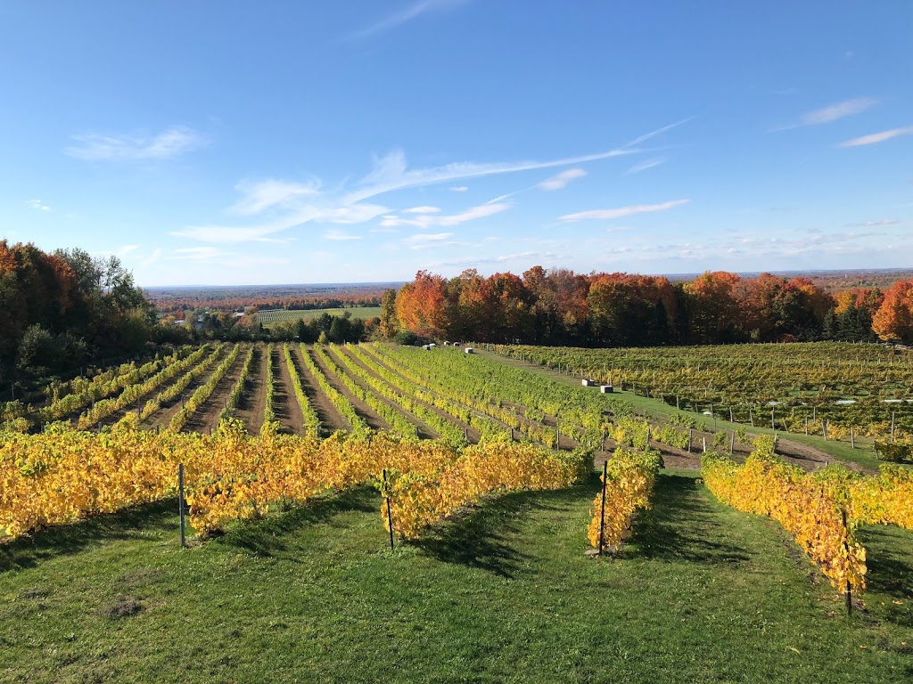 Domaine des Cotes dArdoise | 879 Rue Bruce, Dunham, QC J0E 1M0, Canada | Phone: (450) 295-2020