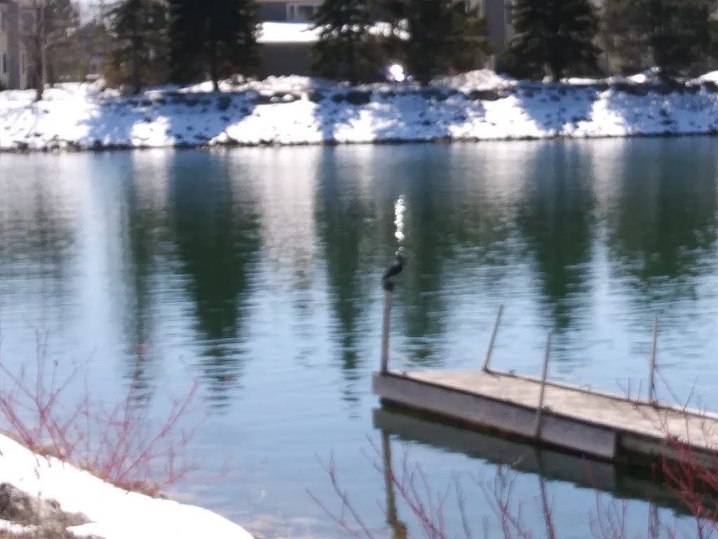 Law Cranberry Resort Ltd | 5 Cranberry Quay, Collingwood, ON L9Y 0B3, Canada | Phone: (705) 446-0400