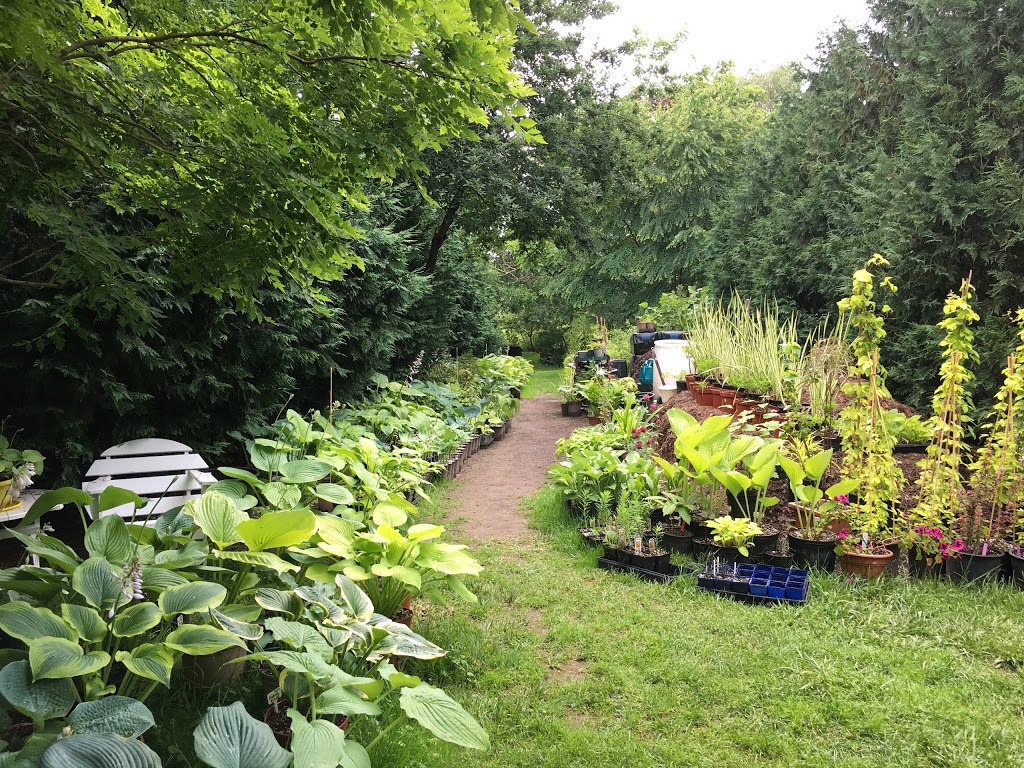 Olde Towne Gardens | 716 Lakeshore Rd, Niagara-on-the-Lake, ON L0S 1J0, Canada | Phone: (905) 937-6758