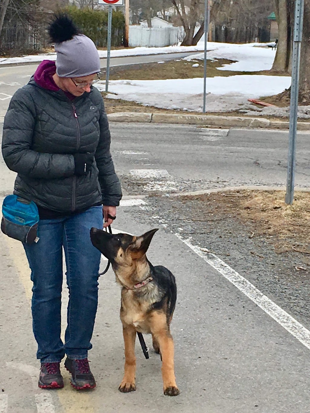 Kala, Services Canins et Équins - Éducation et Dressage - Mirabe | de, Rue De Courcelles, Mirabel, QC J7J 0B3, Canada | Phone: (450) 803-5078