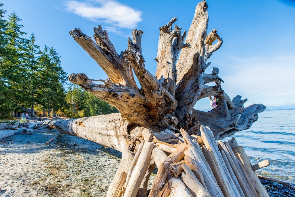 Miracle Beach Provincial Park | 1720 Miracle Beach Dr, Black Creek, BC V9J 1J5, Canada | Phone: (250) 337-8020