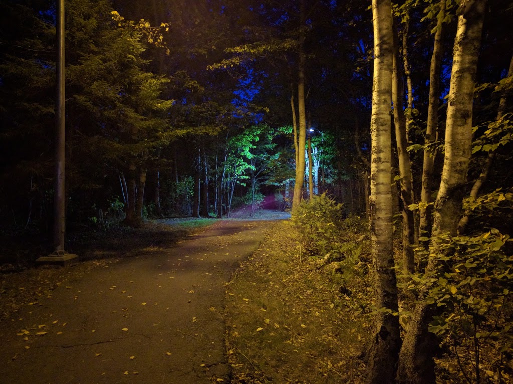 Tremont Plateau Park | 45 Trailwood Pl, Halifax, NS B3M 1X5, Canada