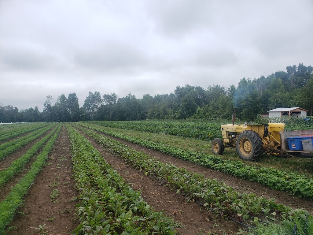 Ottawa Food Bank Farm | Munster Hamlet - Richmond, Ottawa, ON K2S 1B8, Canada | Phone: (613) 745-7001