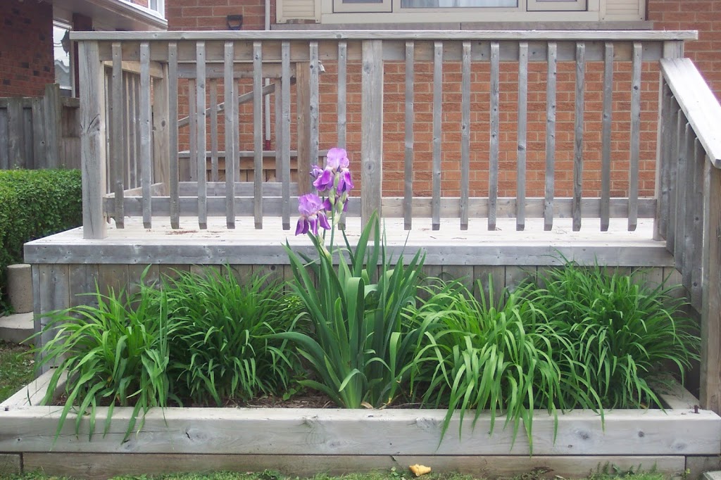 Park Custom Woodwork and Renovations | 3125 Guyatt Rd, Binbrook, ON L0R 1P0, Canada | Phone: (905) 379-9663