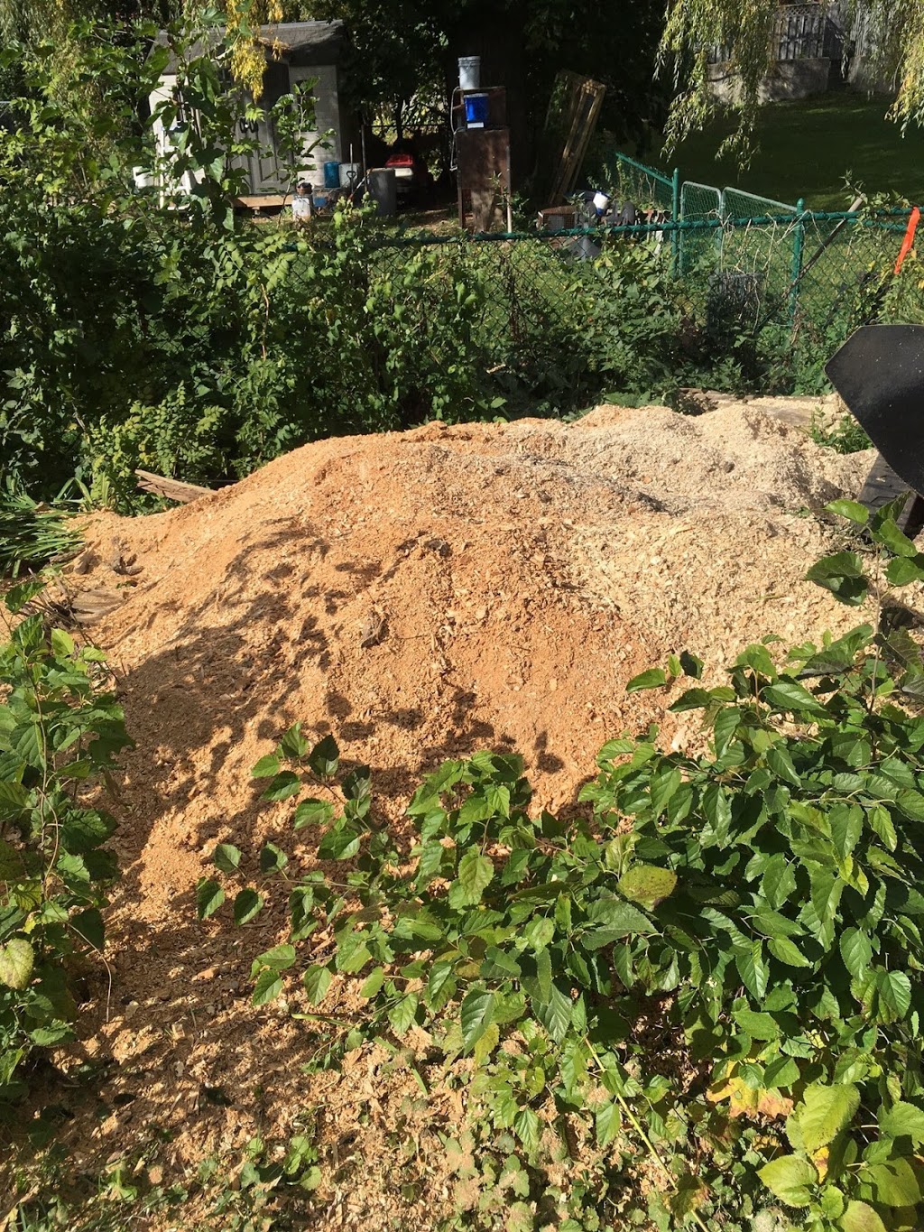 Complete Stump & Tree Removal Inc. | 457 Regency Crescent, Waterloo, ON N2T 1P2, Canada | Phone: (519) 590-8178