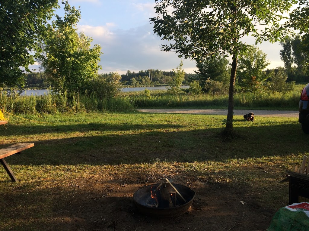 Laurel Creek Nature Centre | 525 Beaver Creek Rd, Waterloo, ON N2V 2L3, Canada | Phone: (519) 885-1368
