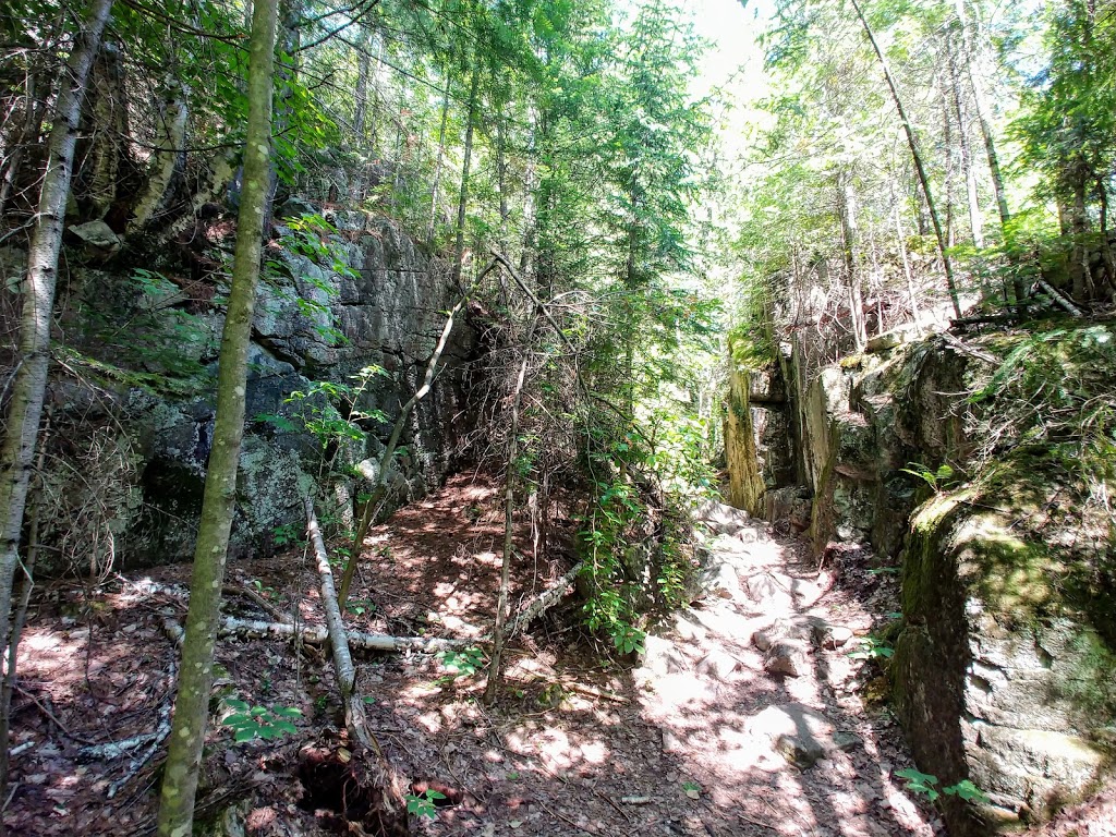 Forêt Ouareau Secteur Grande Vallée | 1034 Rue des Pâquerettes, Chertsey, QC J0K 3K0, Canada | Phone: (819) 424-1865