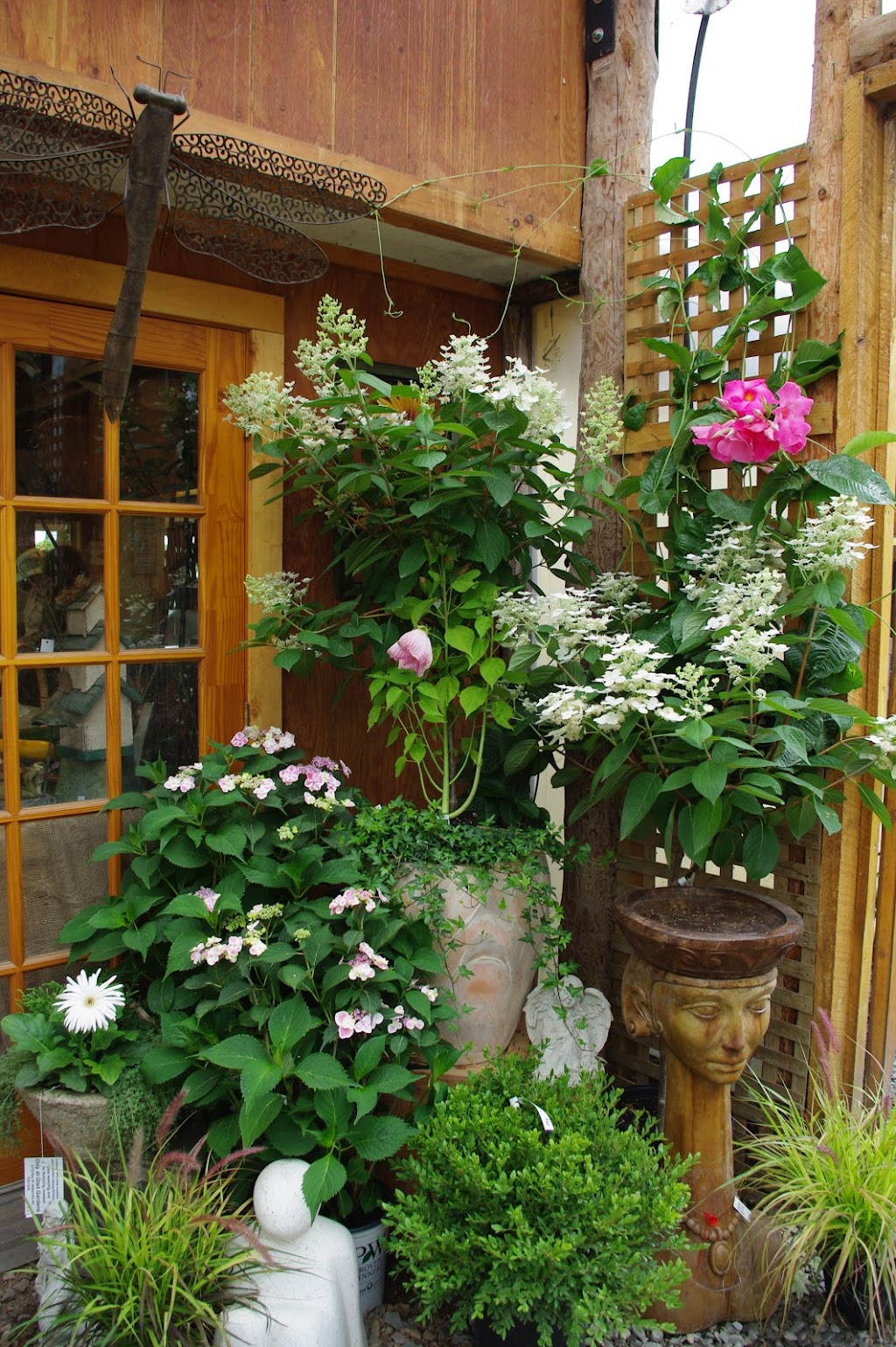 Glad Gardens Family Farm Market & Greenhouses | 5108 Nova Scotia Trunk 1, Waterville, NS B0P 1V0, Canada | Phone: (902) 538-8688