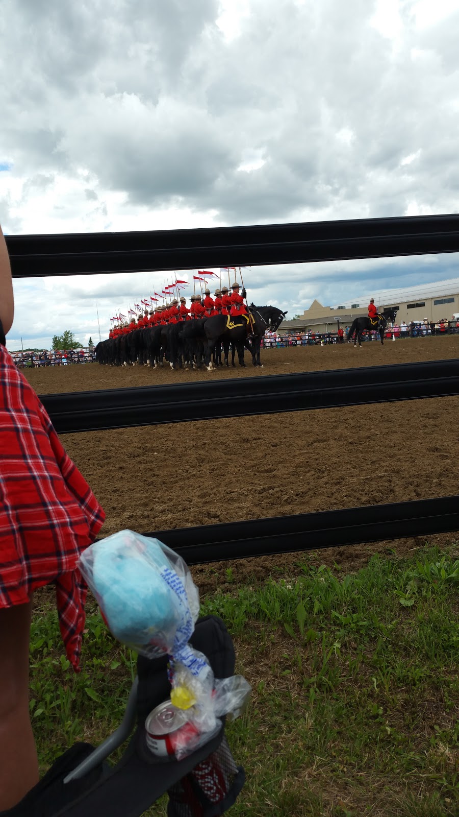 Windsor - Essex Therapeutic Riding Association | 3323 N Malden Rd, Essex, ON N8M 2X6, Canada | Phone: (519) 726-7682