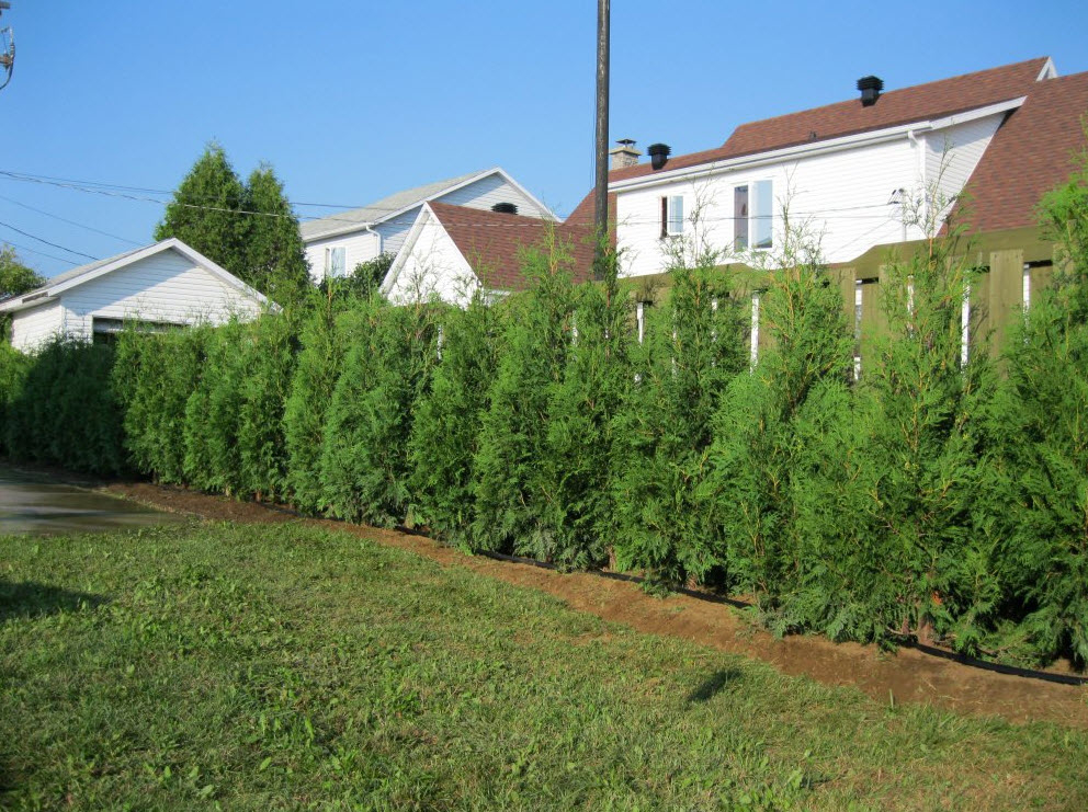 Cedres Dupont Inc | 8075 Chemin Sainte-Marguerite, Trois-Rivières, QC G9B 0M1, Canada | Phone: (819) 377-9000